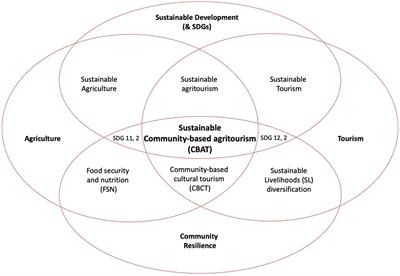 Systemizing a rural livelihood diversification framework for sustainable community-based agritourism: A participatory approach to ensure resilience